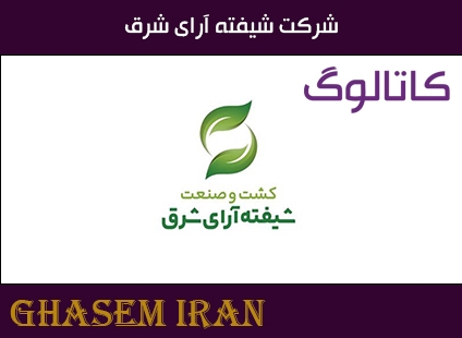 4- شرکت شیفته آرای شرق